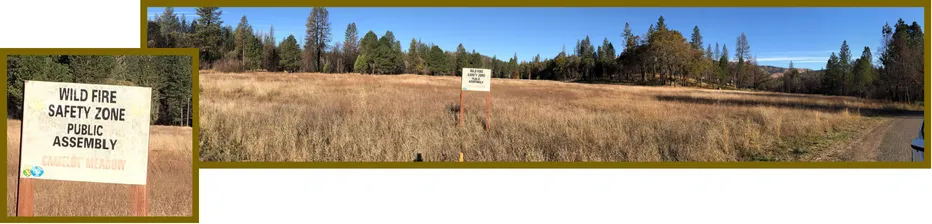 evacuation alternatives
